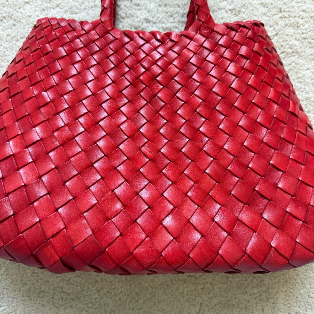 Dragon Diffusion Bag - image 6